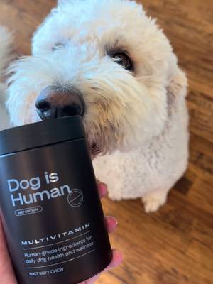 Dog is Human Dog multivitamin soft chews