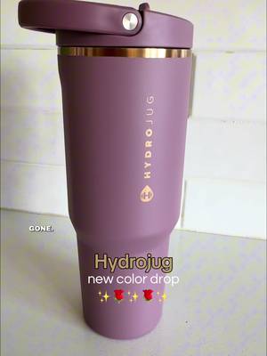 Hydrojug Insulated tumbler with handle and straw