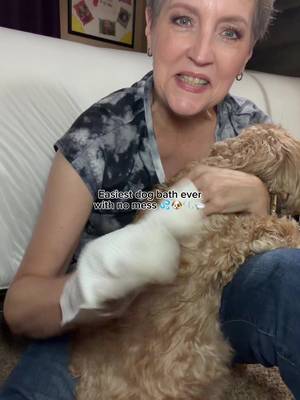 Dr.Pawsome DrPawsome disposable pet grooming glove wipes