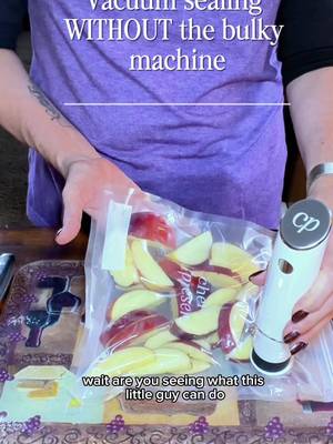 Chef Preserve Chef Preserve handheld vacuum sealer with reusable valve bags