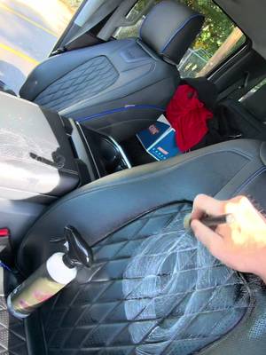 Blackline Blackline Reset automotive interior cleaner