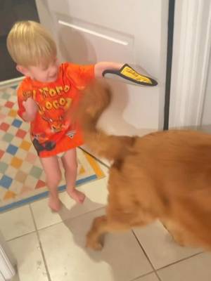Mesh pet grooming and hair-removal mitt