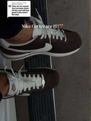 Nike Cortez sneakers in brown
