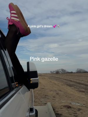 Adidas Gazelle Pink Sneakers