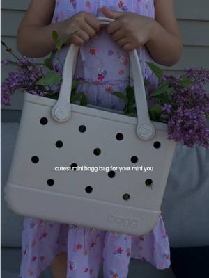 Bogg Mini Bogg Bag