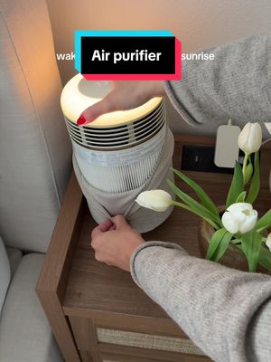 Air purifier with sunrise alarm clock