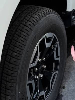 Blackline Car Care - Blackout Trim & Tire Dressing - Best Tire Shine No Sling Formula - Water Based Protection for Car Tires & Trim - Safe for Cars, Trucks, SUVs & More - 16 fl oz