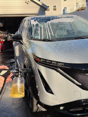 VIKING Professional Foam Cannon for Car, Adjustable Spray Nozzle, 1.1 Liter Soap Canister, 1/4" Quick Connect Plug for Pressure Washer and Car Detailing Kit