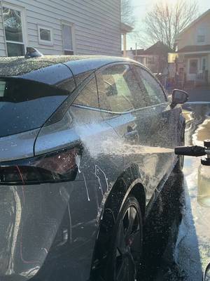 VIKING Professional Foam Cannon for Car, Adjustable Spray Nozzle, 1.1 Liter Soap Canister, 1/4" Quick Connect Plug for Pressure Washer and Car Detailing Kit