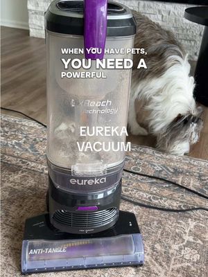 Eureka FlexReach Powerful Upright Vacuum Cleaner for Carpet and Hard Floor, Lift-Up Vacuum with Large Dust Cup, Anti-Tangle, NEU651PL, Purple