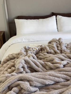 Bedsure GentleSoft Blankets Queen Size for Bed - Cozy Soft Blankets for Women, Cute Large Fleece Throws for Girls, Beige, 90x90 Inches