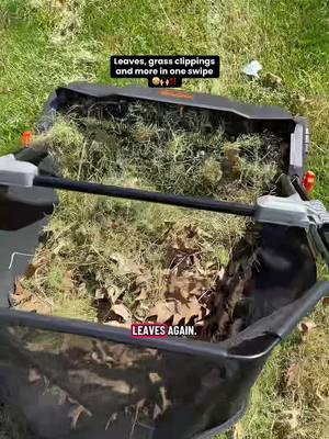 VEVOR Push Lawn Sweeper, 21inch Leaf & Grass Collector, Heavy Duty Thickened Steel Durable to Use with Large Capacity 3.5 cu. ft. Mesh Collection Hopper Bag, 2 Spinning Brushes