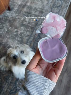 PawBio Probiotic Mousse- for Cats&Dogs Acai Goat Cheese, Gut Health Care, Reduce Shedding, Brighten Pet Coat, Digestive Support Snack, All, Nutritious Pet Food Supplement 12 Cups