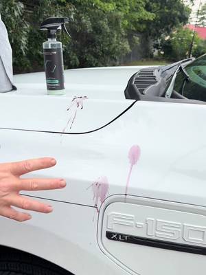 Blackline Waterless Wash – No-Rinse High Gloss Shine for Luxury Vehicles – Safe for Paint, Glass, Chrome, Wraps – Scratch-Free Finish with Hydrophobic Protection – Pina Colada Scent – 16 oz