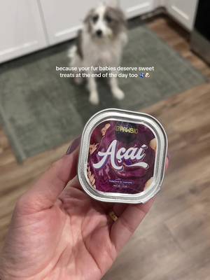 PawBio Probiotic Mousse- for Cats&Dogs Acai Goat Cheese, Gut Health Care, Reduce Shedding, Brighten Pet Coat, Digestive Support Snack, All, Nutritious Pet Food Supplement 12 Cups