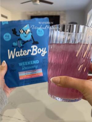 Waterboy - Weekend Recovery, Variety Pack, Sugar Free Electrolytes Powder Drink Mix - 12ct Hydration Packets