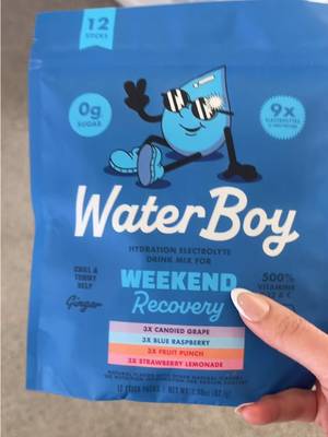 Waterboy - Weekend Recovery, Variety Pack, Sugar Free Electrolytes Powder Drink Mix - 12ct Hydration Packets