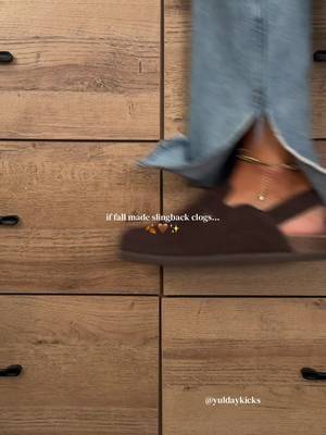 Cushionaire Women's brown slingback clogs