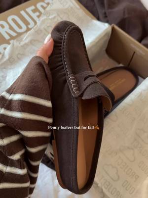 PROJECT CLOUD Brown suede penny loafers