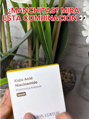 SUNGBOON EDITOR Kojic Acid Niacinamide Brightening Ampoule