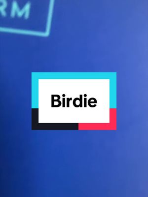 birdie Personal safety alarm