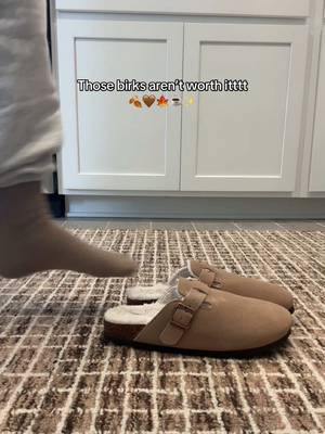 KIDMI Women's Fur Lined Genuine Suede Clogs Fuzzy Cork Footbed Potato Shoes