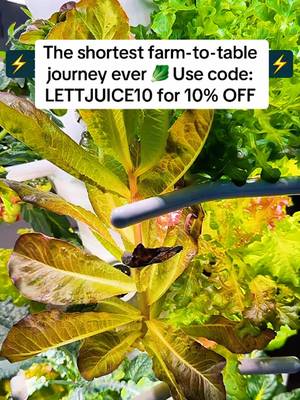 Lettuce Grow Farmstand Nook | 4ft 7in Vertical Hydroponic Garden Tower | Self-watering system | Compact footprint | Indoor or outdoor | Easy assembly